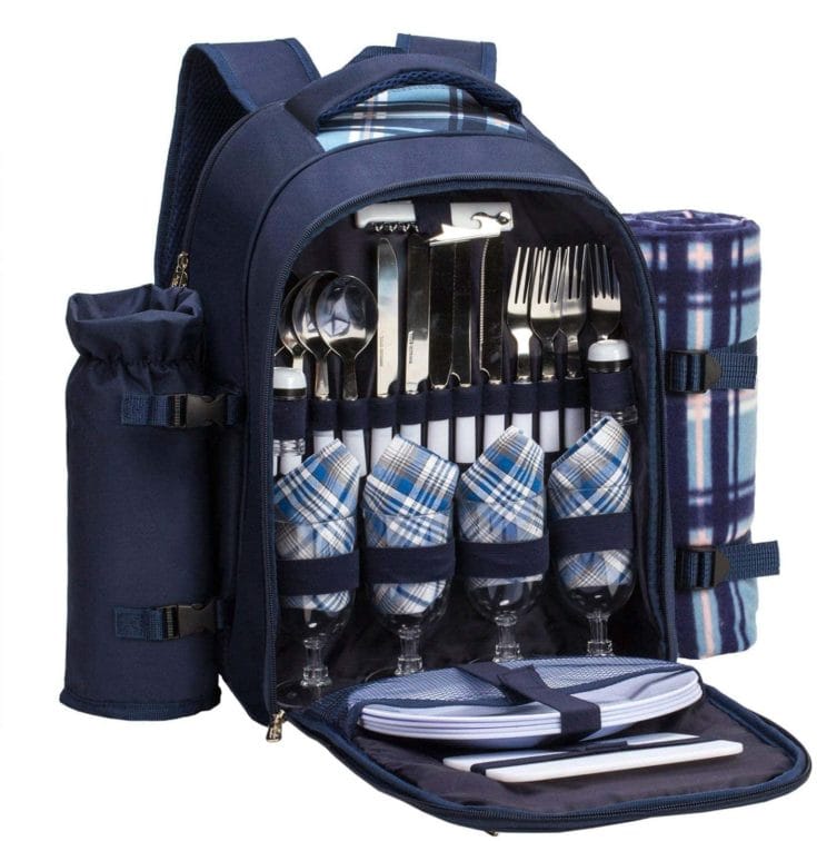 Best Picnic Backpack Sets: 2023 Comparison Guide