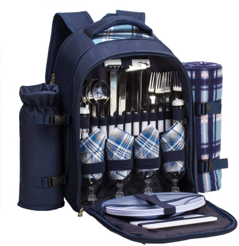 Best Picnic Backpack Sets 2024 Comparison Guide