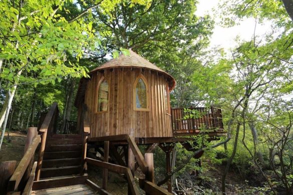 zeolite pellets for sale 10 tips to pay attention while