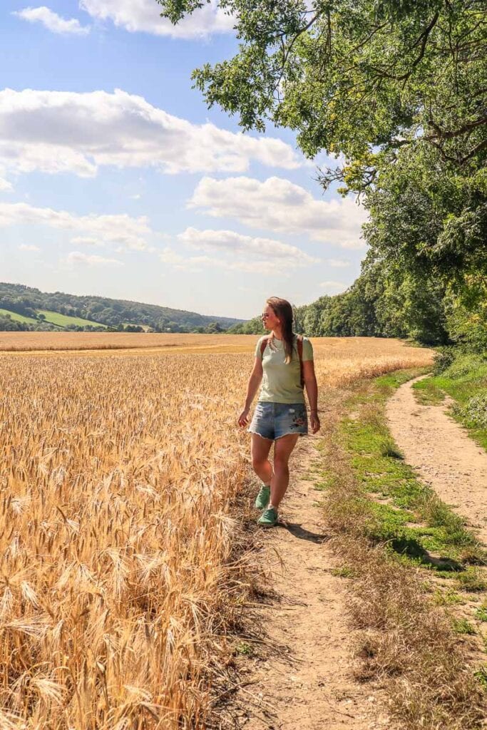 Chess Valley Walk