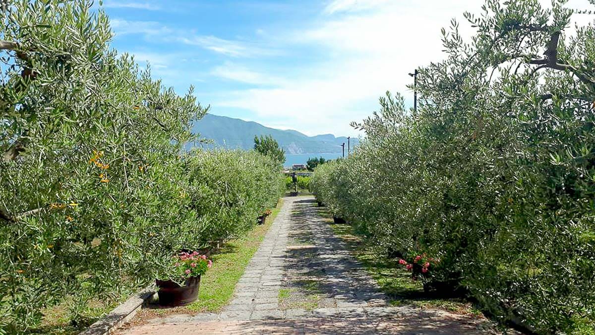 Sentiero degli Dei, Italy