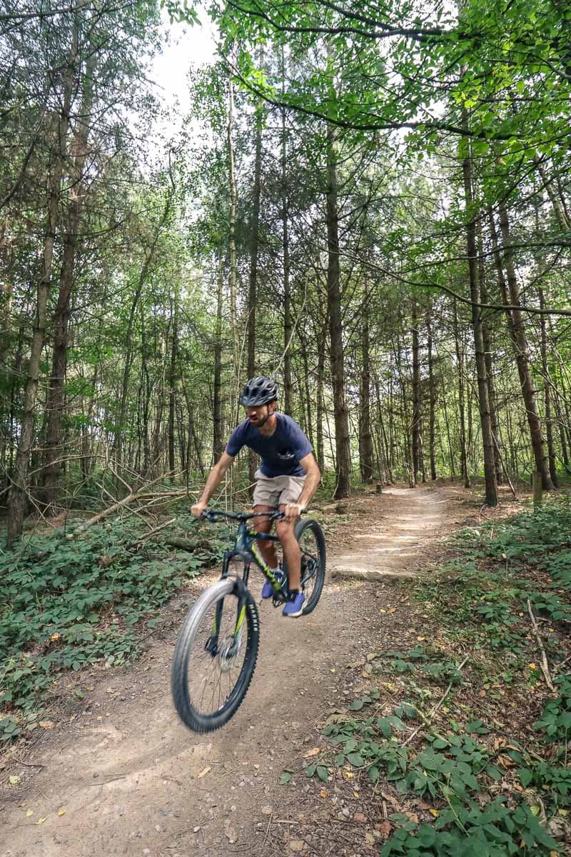 Mountain biking in Bedgebury Pinetum and Forest