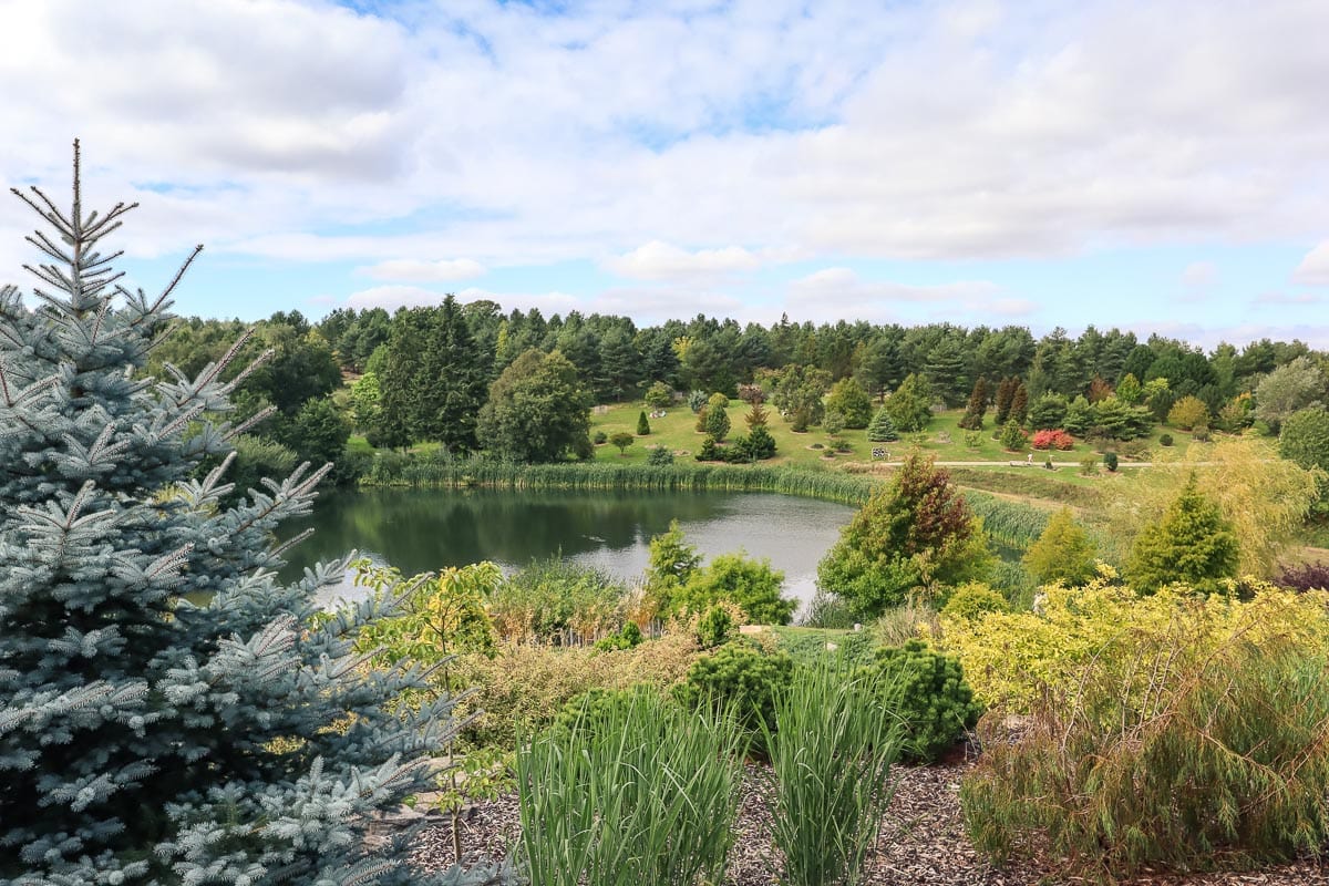 Bedgebury Pinetum