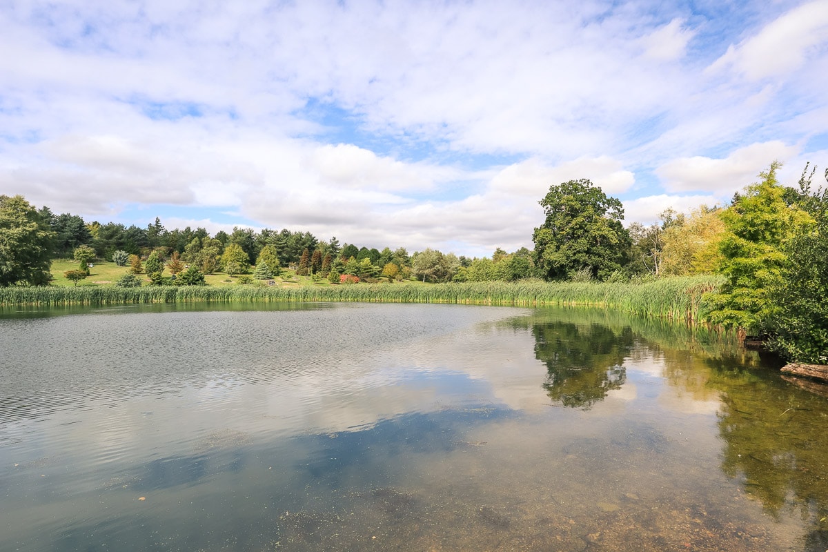 Bedgebury Pinetum