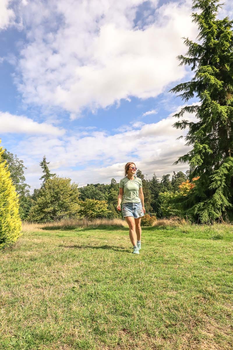 Walking in Bedgebury Pinetum 