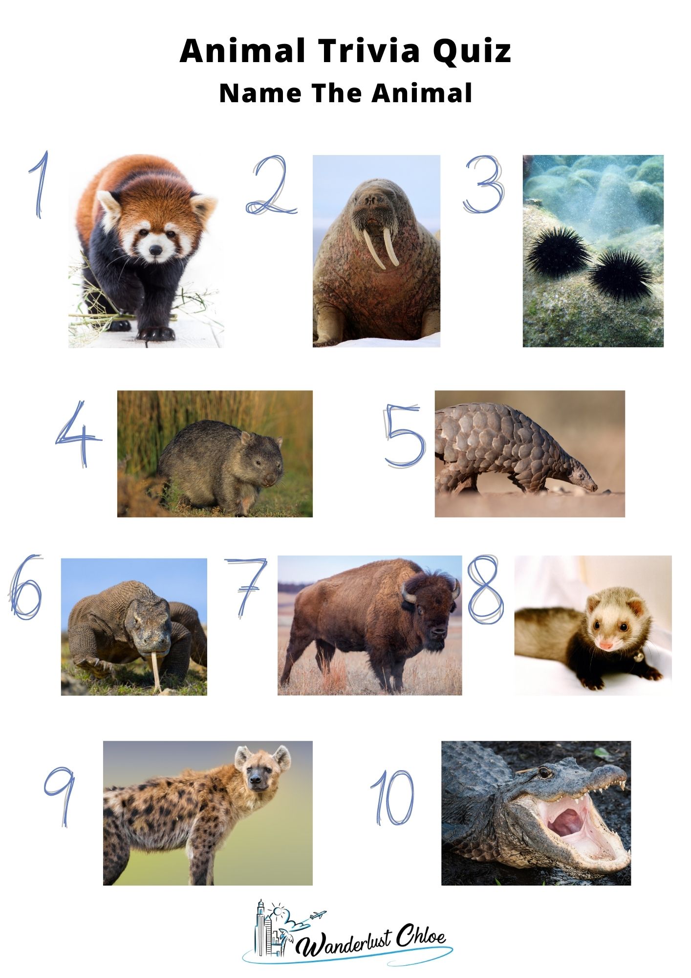 Animal Trivia Quiz