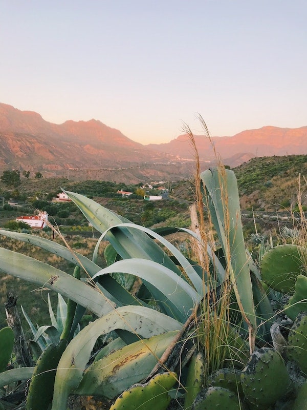 Gran Canaria