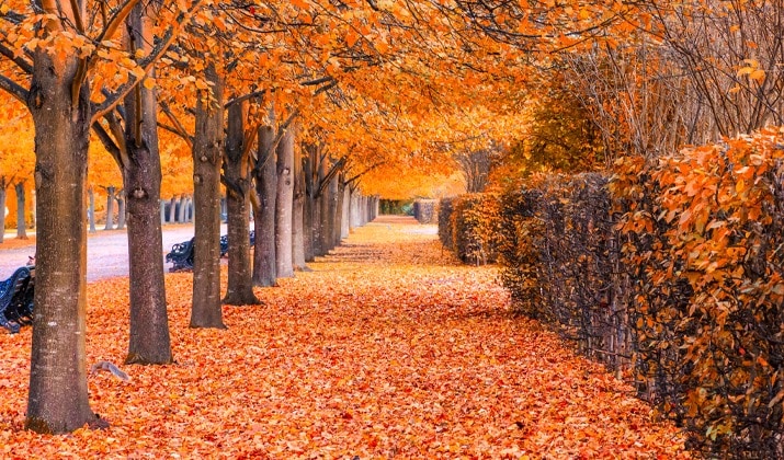 Pretty autumn views in Kittatinny Valley State Park