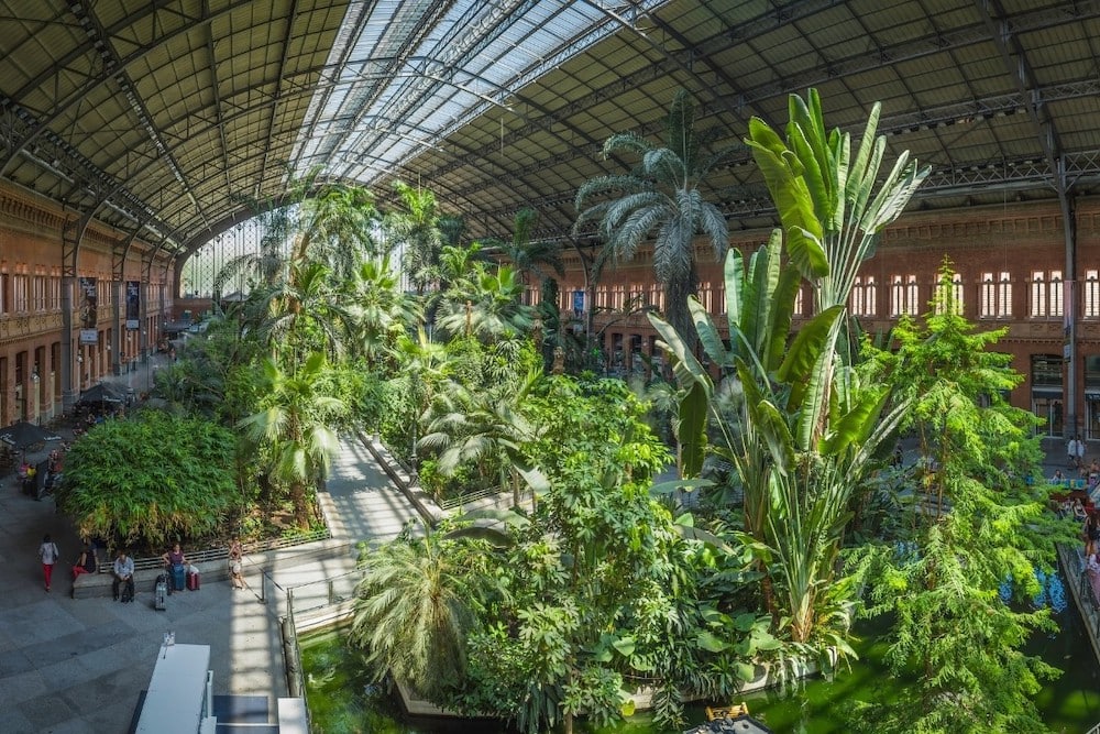 Atocha Station gardens, Madrid