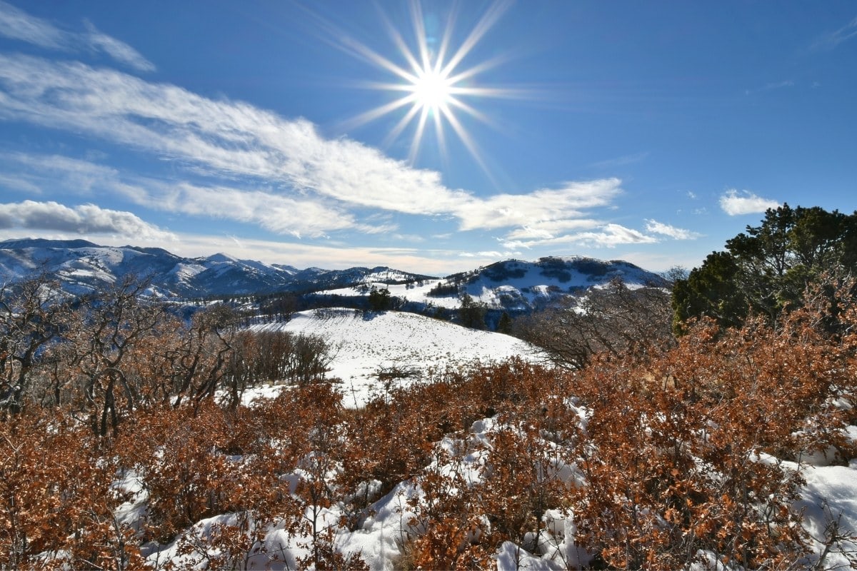 Lincoln National Forest