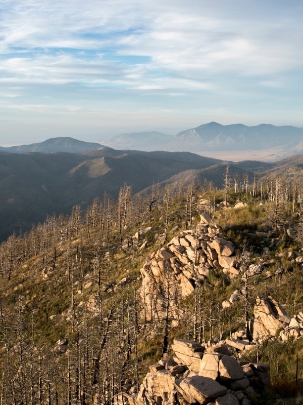 Lincoln National Forest