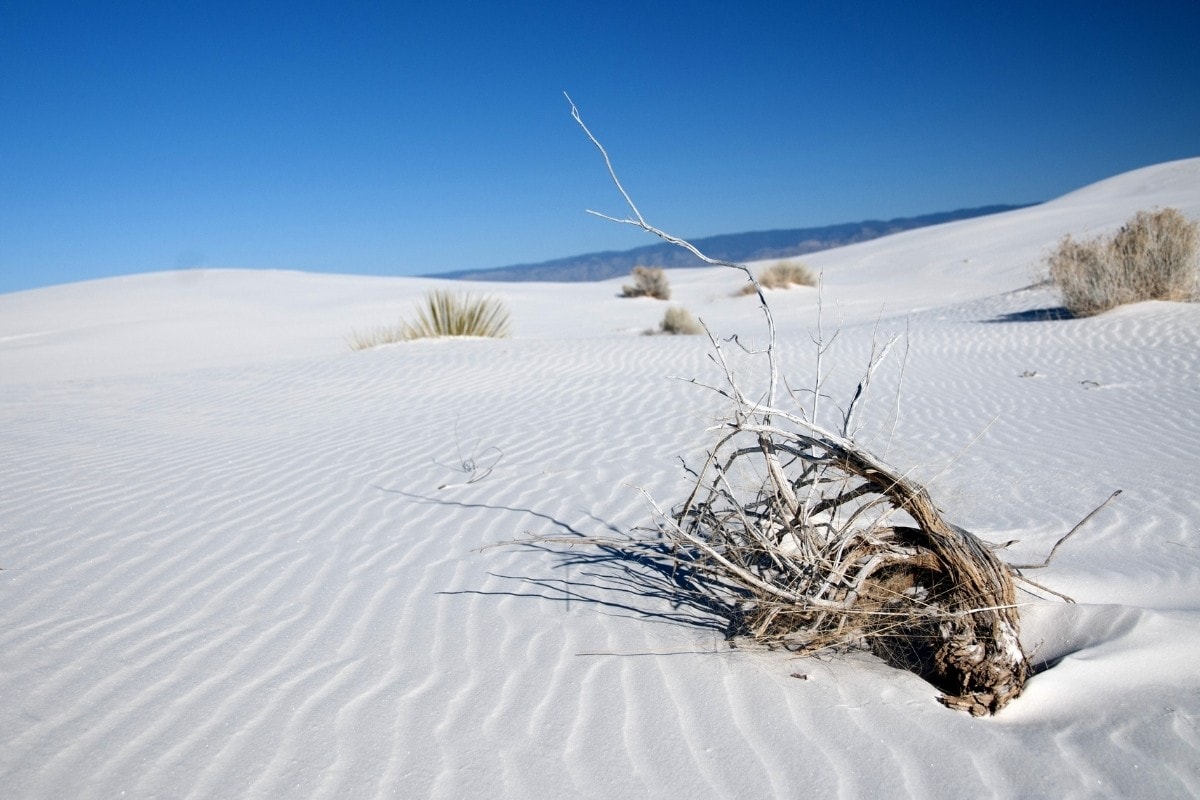 White Sands National Monument