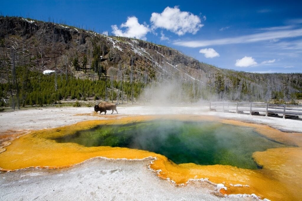 Yellowstone National Park