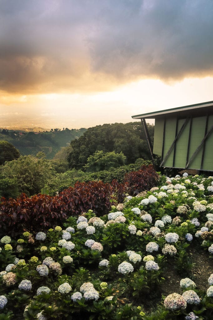 Chayote Lodge in Naranjo, Costa Rica