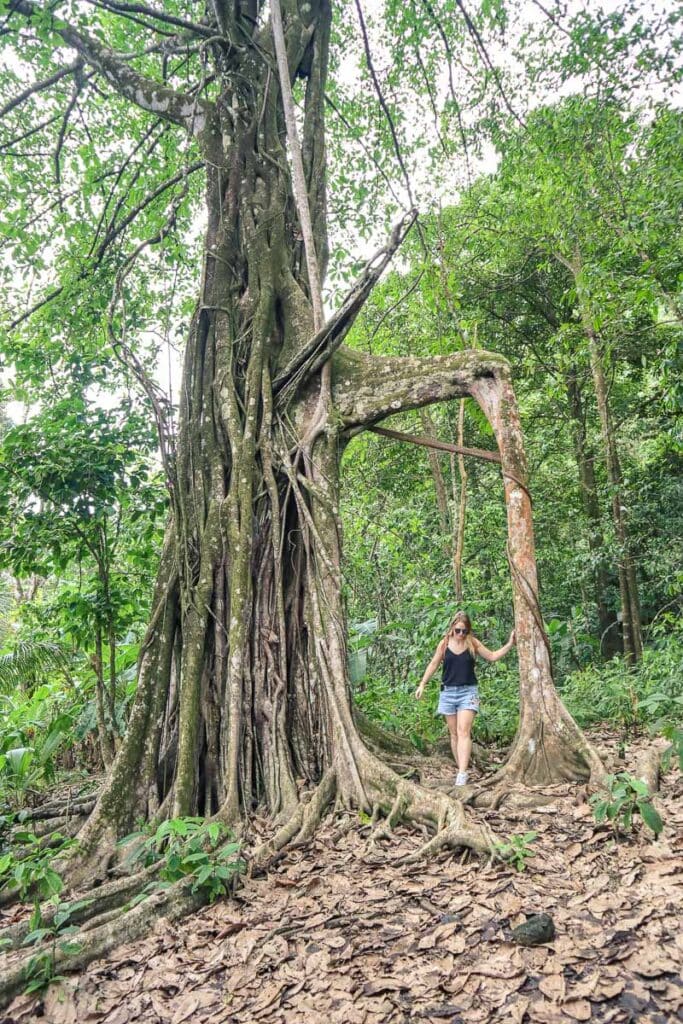 Exploring Corcovado National Park