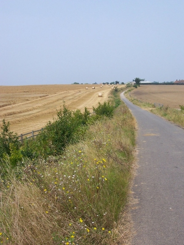 crab and winkle way path