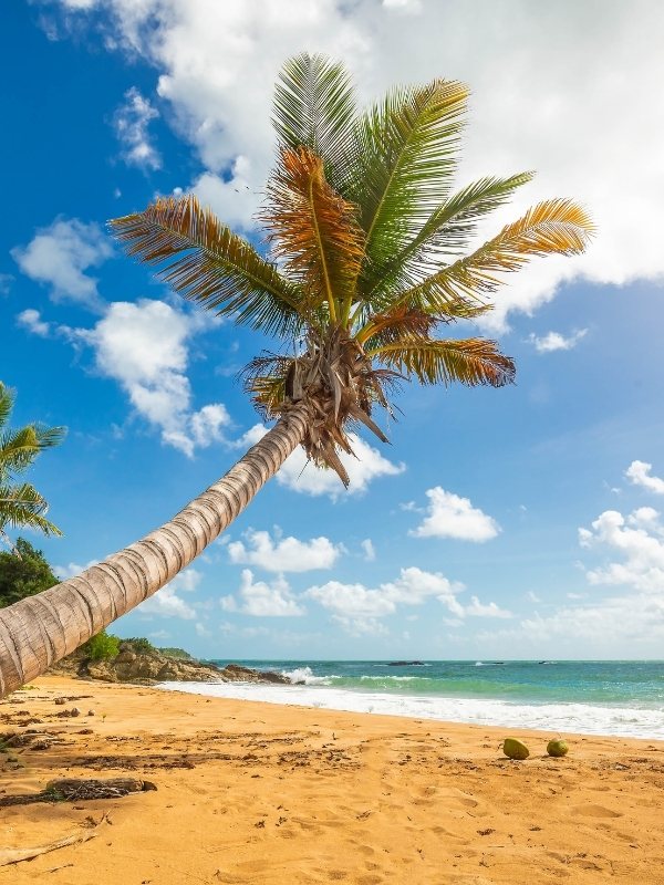 flamenco beach puerto rico