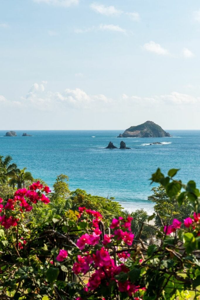 manuel antonio national park