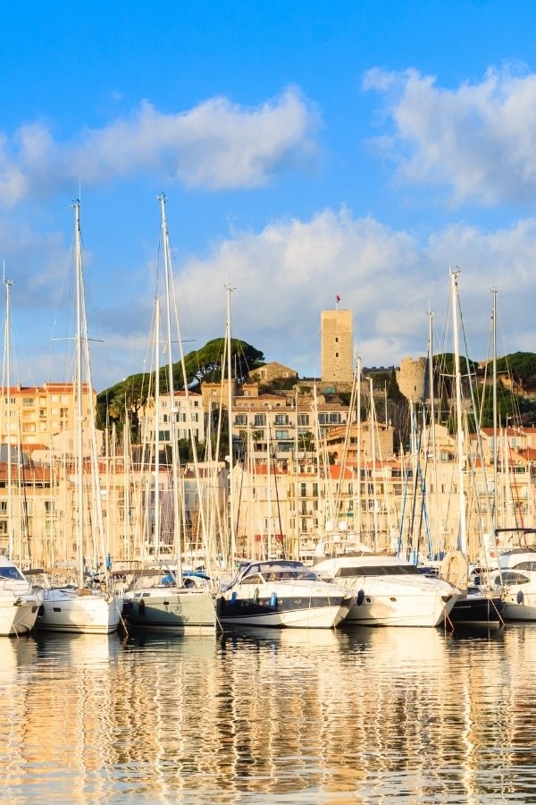 Yachts in Cannes Marina