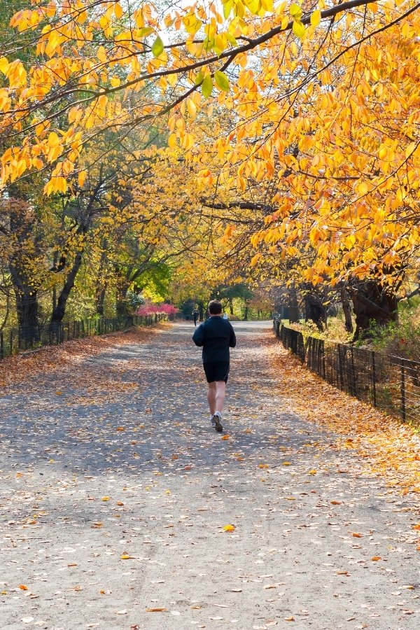 Runner in Central Park, New York