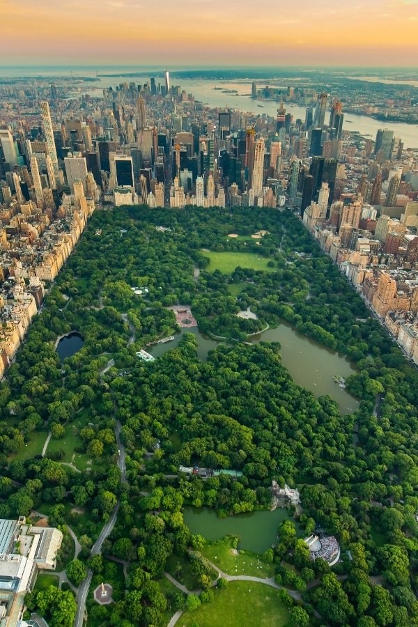 Central Park in New York