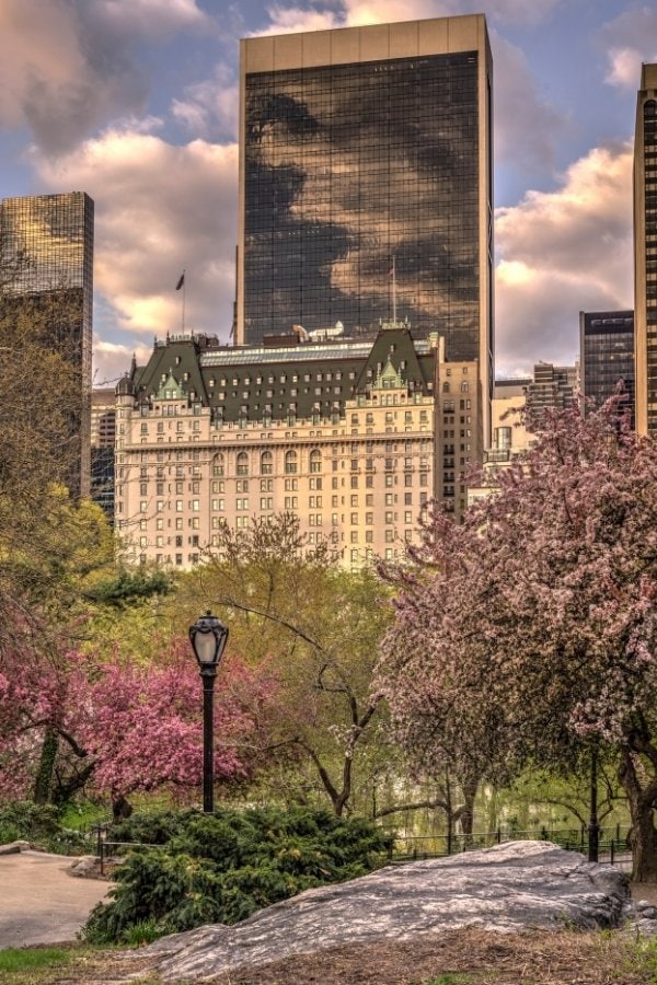 Central Park, New York