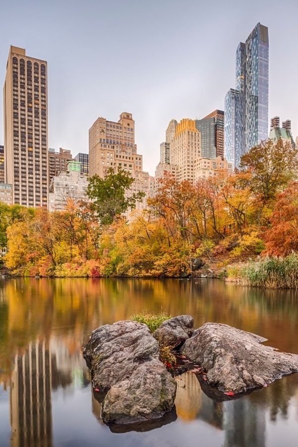 Central Park, New York