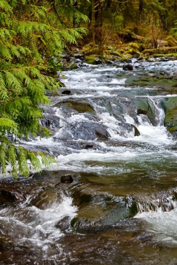 Waterfall in Oswald West State Park