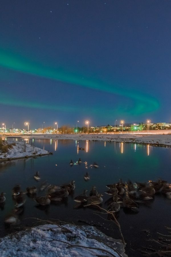 You could see the northern lights if you visit Reykjavik in winter