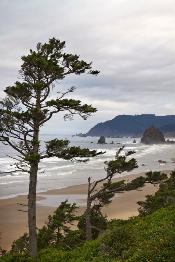 Tolovana Beach State Recreation Site