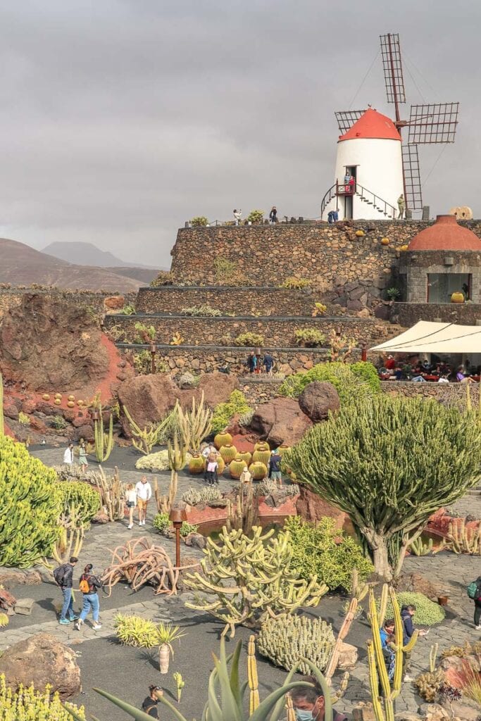 Cactus Garden, Lanzarote