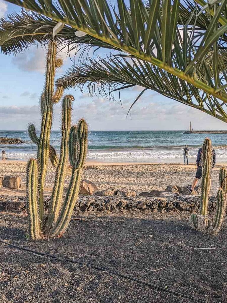 Costa Teguise Beach