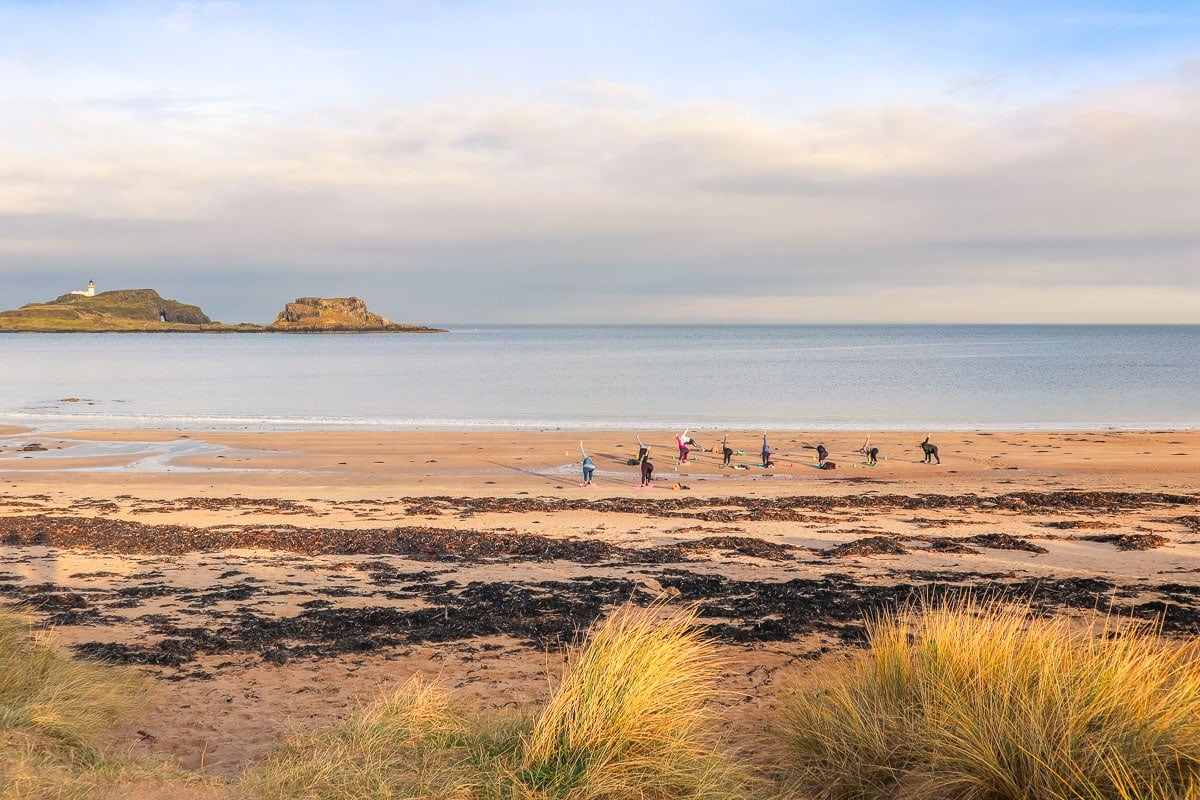 North Berwick Visitor Guide - Accommodation, Things To Do & More