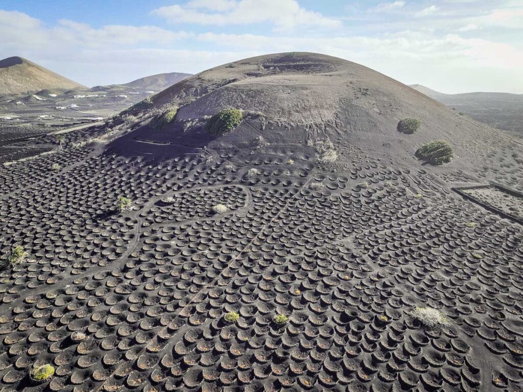 La Geria wine region in Lanzarote