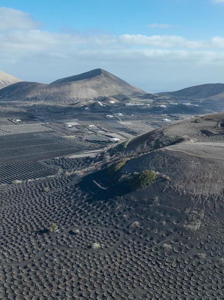 wine tour lanzarote