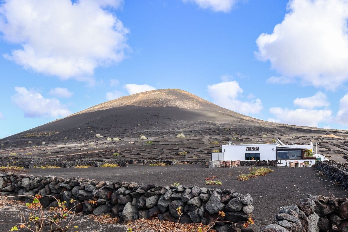 Lanzarote wine tour in La Geria