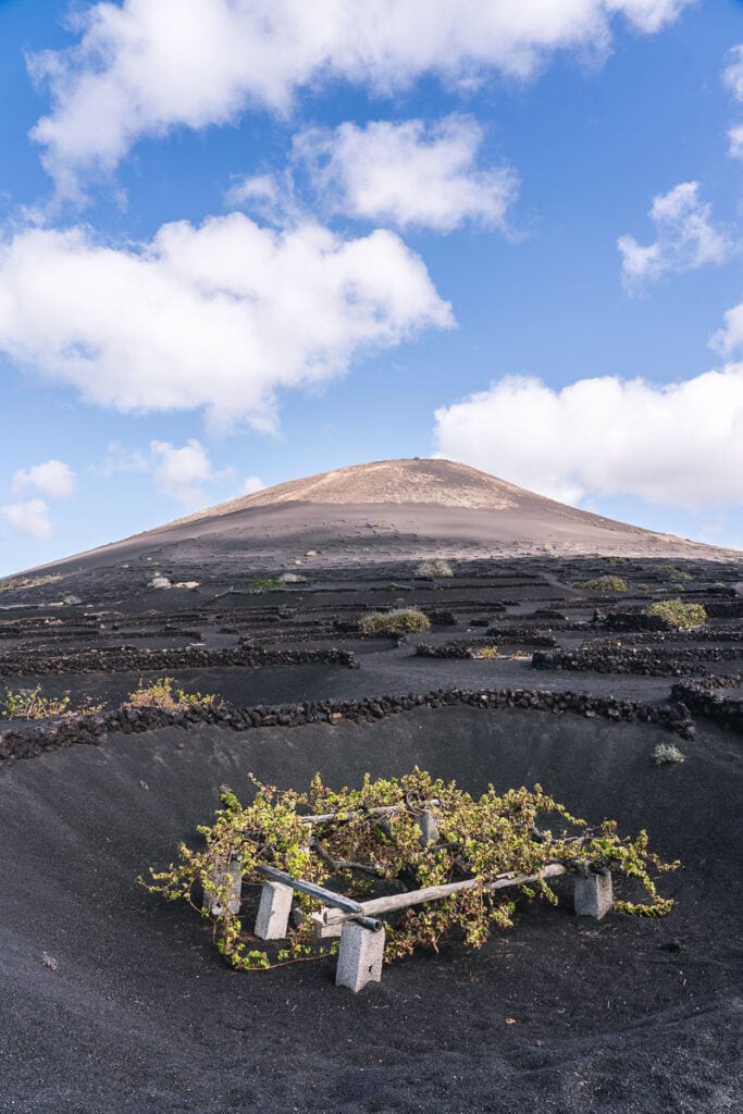 The scenery is so special in Lanzarote