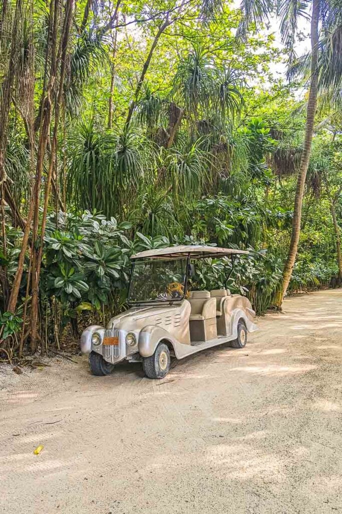 Smart golf buggies to get around the island