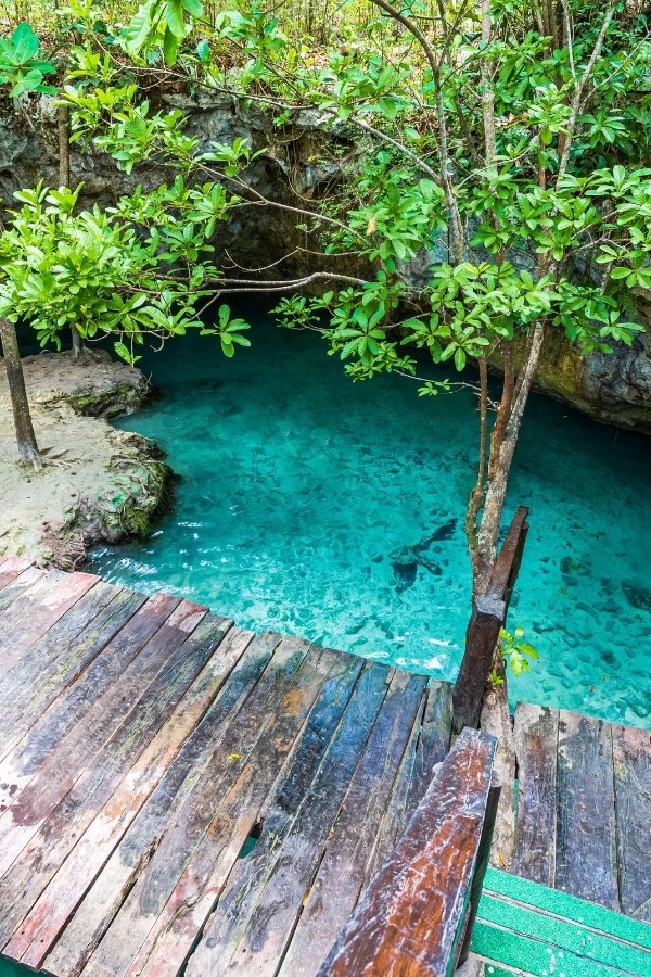 Gran Cenote