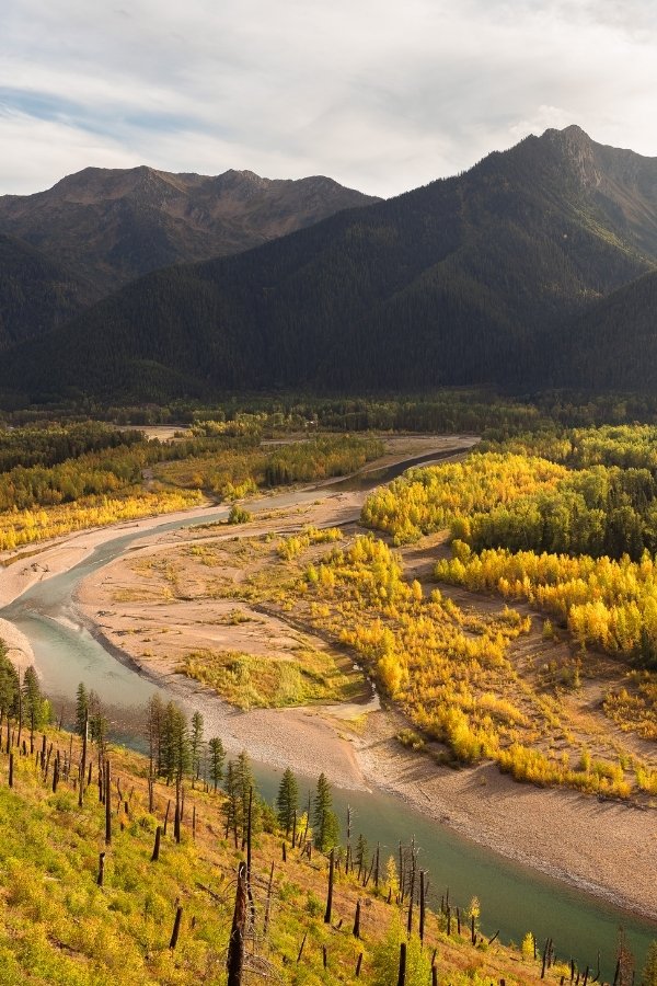 Flathead National Forest