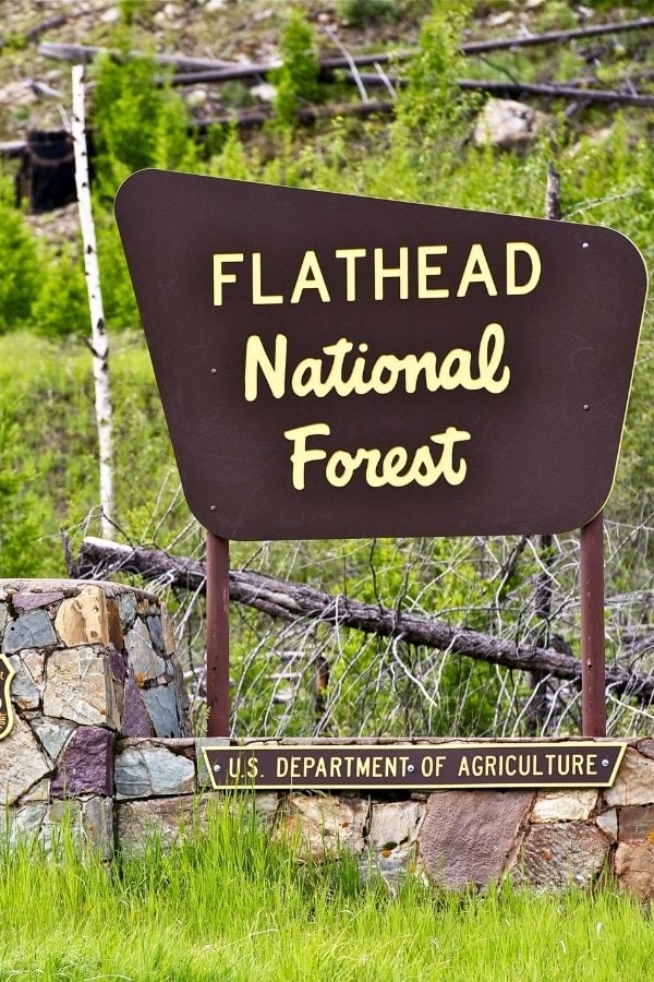 Flathead National Forest