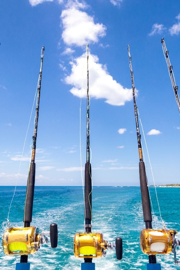 Deep sea fishing in Orange Beach, Alabama