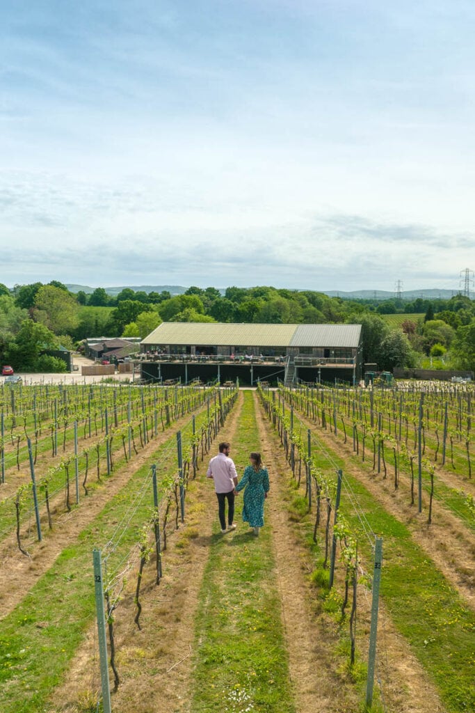 Exploring Bolney Wine Estate