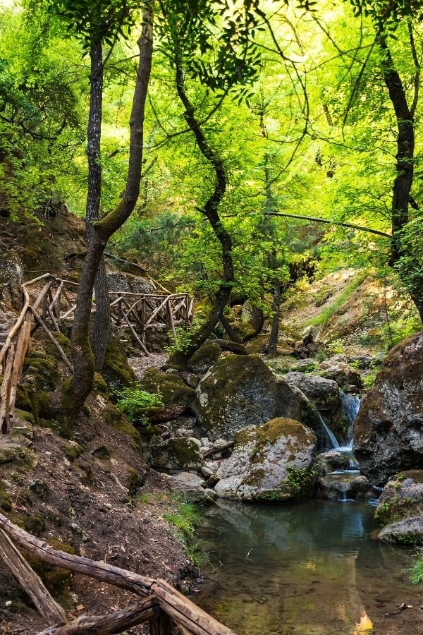 Butterfly Valley in Rhodes