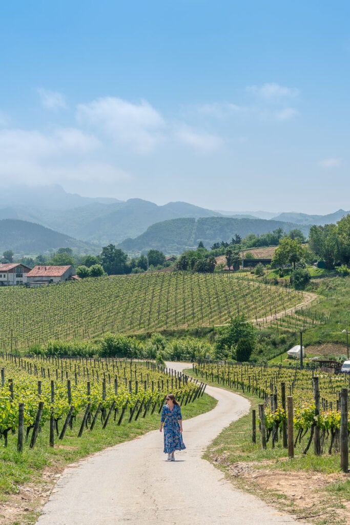 visit llanes spain Walking through Hiruzta vineyard