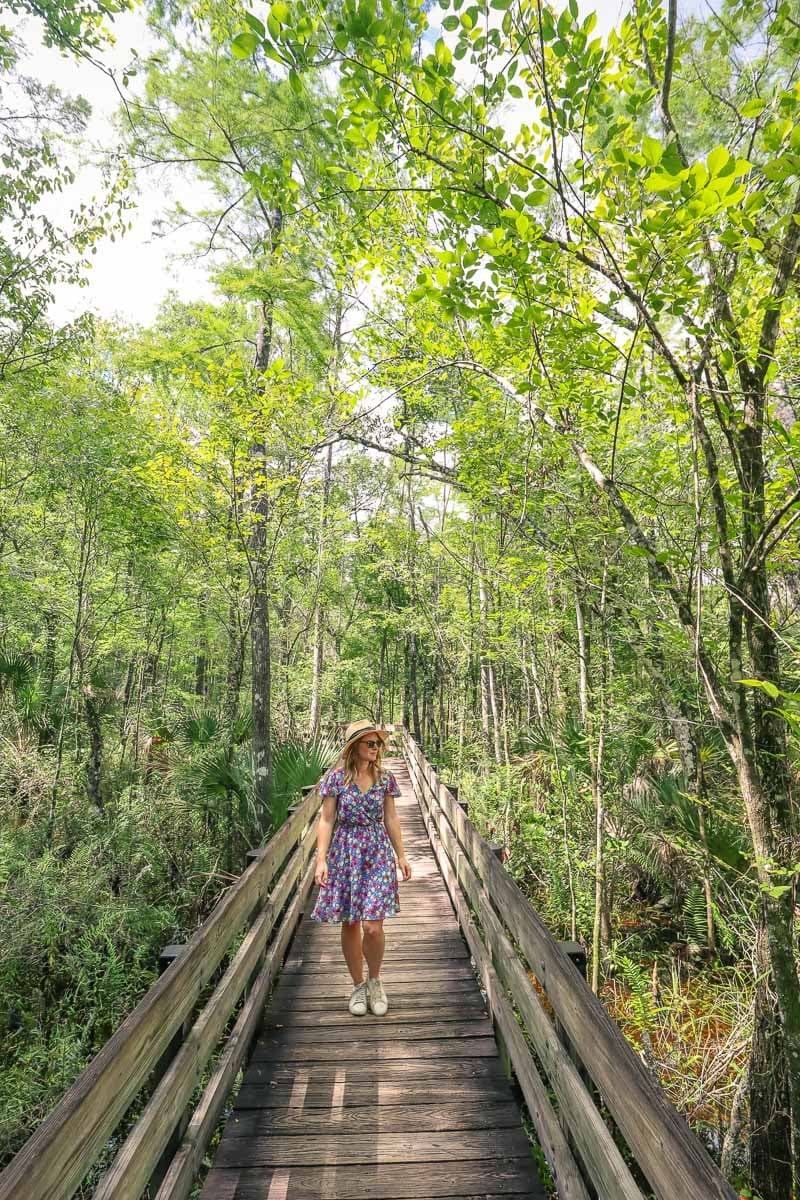 Exploring 6 Mile Cypress Slough Preserve
