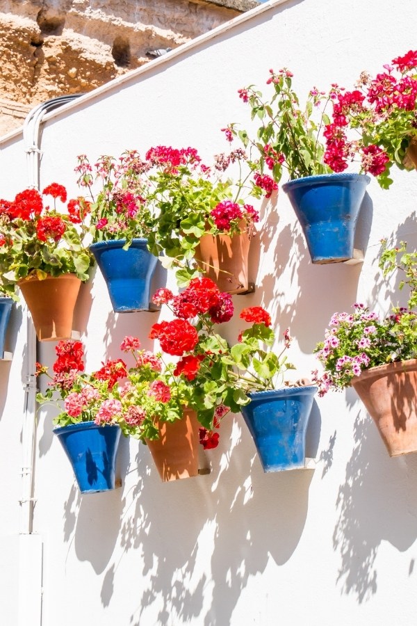 Patio in Cordoba