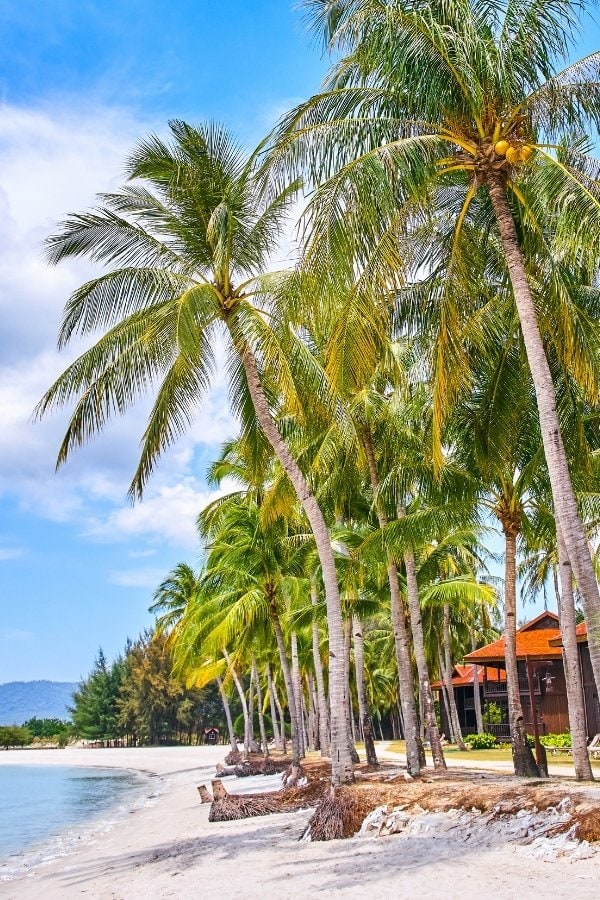 Cenang Beach in Langkawi