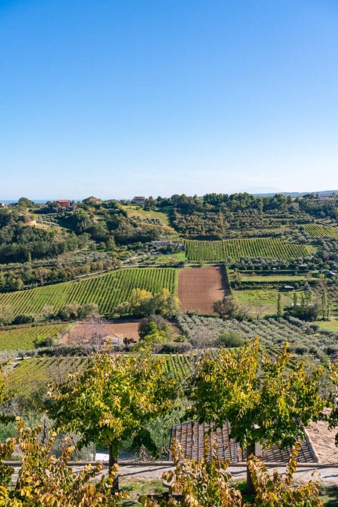 Marche countryside