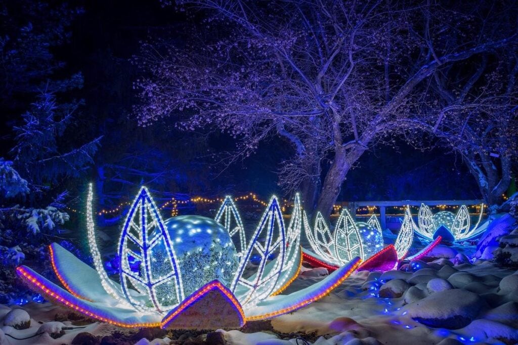 Minnesota Landscape Arboretum hosts a winter lights festival